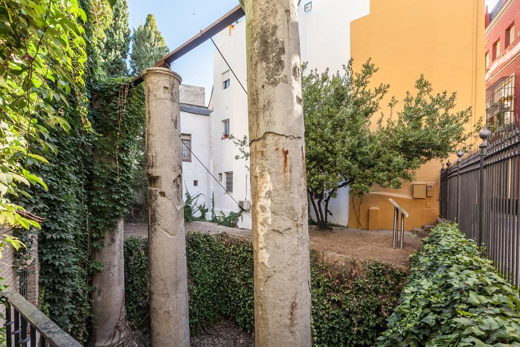 Casa Senorial En Centro,calle Marmoles Appartement